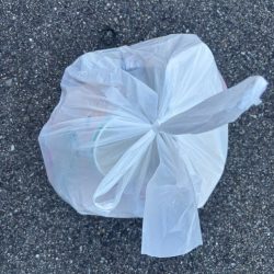 清掃活動：エビ撒きでセイゴ連れてます