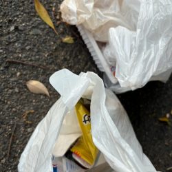 清掃活動：良きサイズ