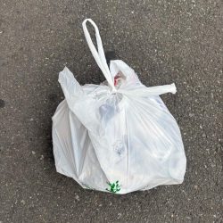 清掃活動：ボトムゲームでおチヌさん