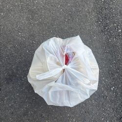 清掃活動：底物好調です♪