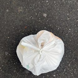 清掃活動：セイゴバチ抜け