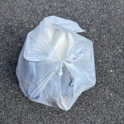 清掃活動：ガシリング好調でした！