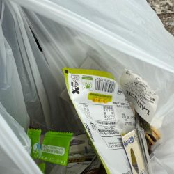 清掃活動：シロギス釣り