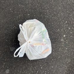 清掃活動：チヌ好調です♪