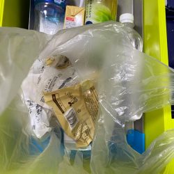 清掃活動：イカメタル開幕