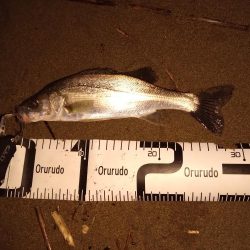 雨の後にようやく…