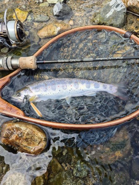 美人が出てくれました