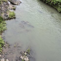 バラシ多すぎた、反省やな