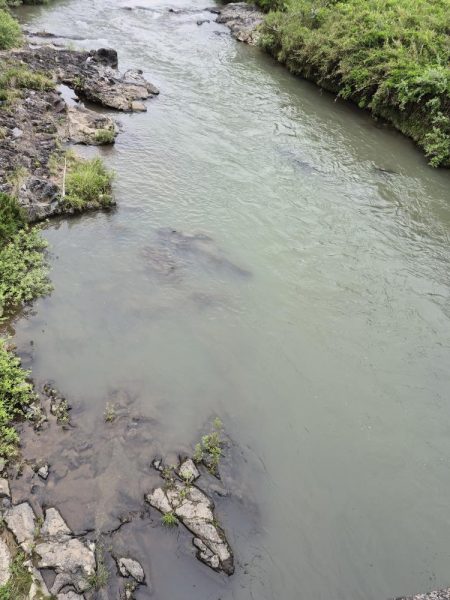 バラシ多すぎた、反省やな