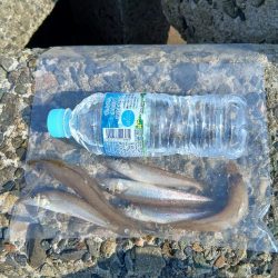 渋すぎるキス!!