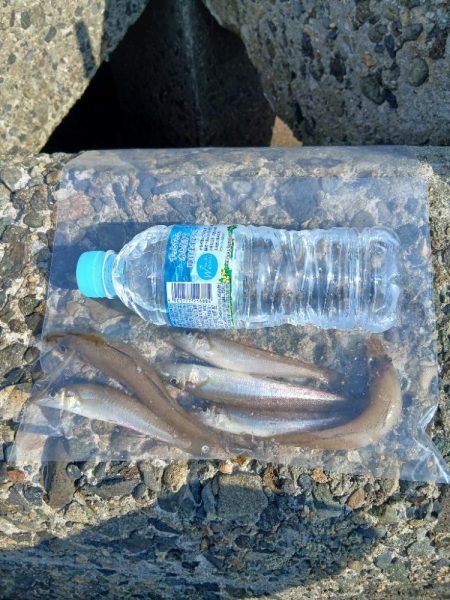 渋すぎるキス!!