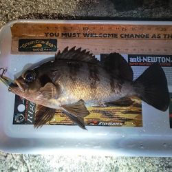 根掛かりを外すと…！