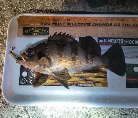 根掛かりを外すと…！