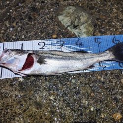 下げの｢分｣今まで逆。この日を境に。