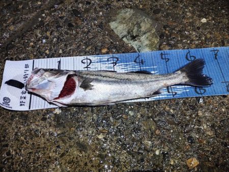 下げの｢分｣今まで逆。この日を境に。