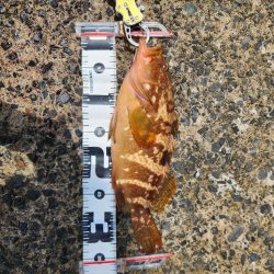 自己記録更新!!