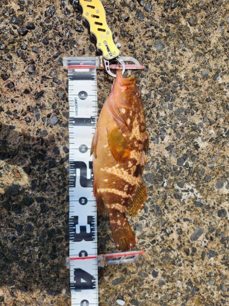 自己記録更新!!