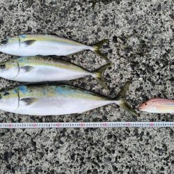 サップジギング