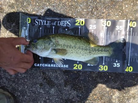 初めての沖ノ島