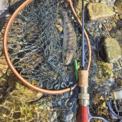 朝から入ってみた