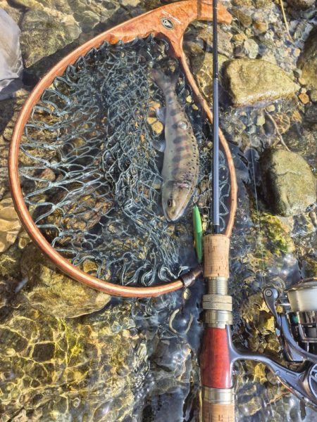 朝から入ってみた