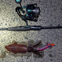 ショアお助けティップラン