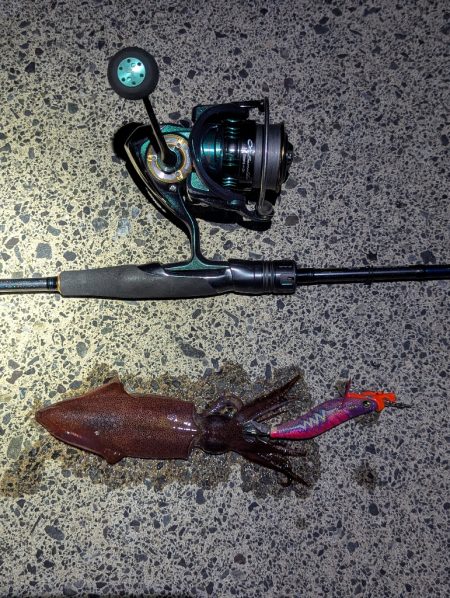 ショアお助けティップラン