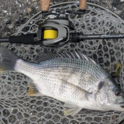 2代目23シルベ792入魂式チニング!