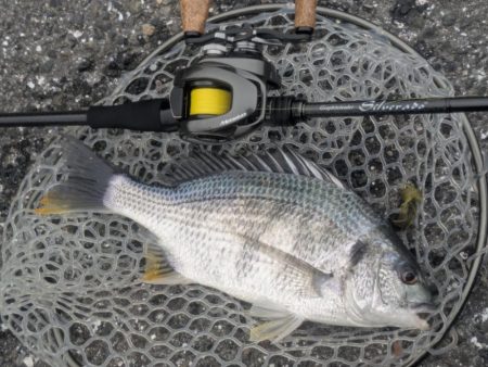 2代目23シルベ792入魂式チニング!