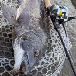 広島チニングツツ抜け達成！