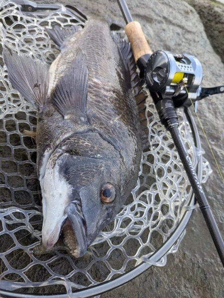広島チニングツツ抜け達成！