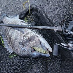 フラグ&ボトムチニング