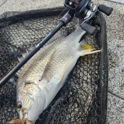 フワフワチニング