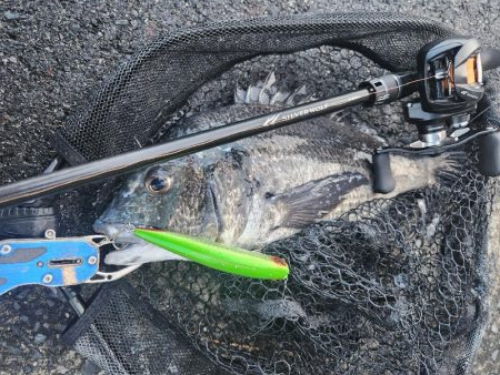 プラグチニング