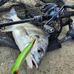 クロスウェイクチニング