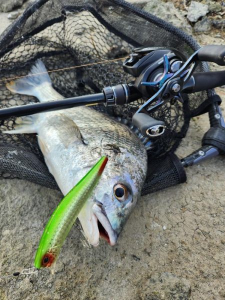 クロスウェイクチニング