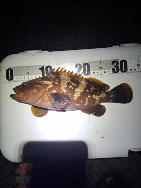 癖になる鈴の音