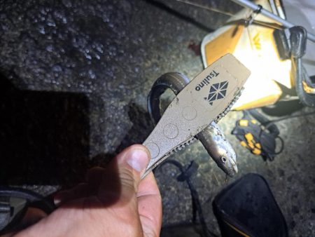 食いの悪い穴子釣り