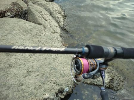 チヌトップ開幕