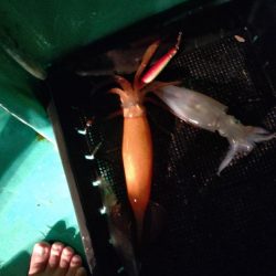 浜田沖でのイカメタル