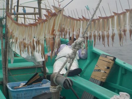 スルメイカ68杯