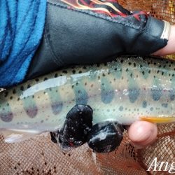 渇水、梅雨はどこへ？