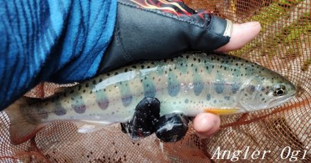 渇水、梅雨はどこへ？