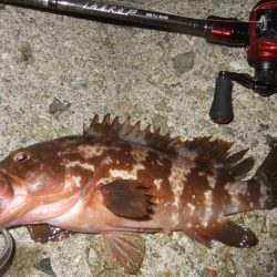 かなり減ったかな