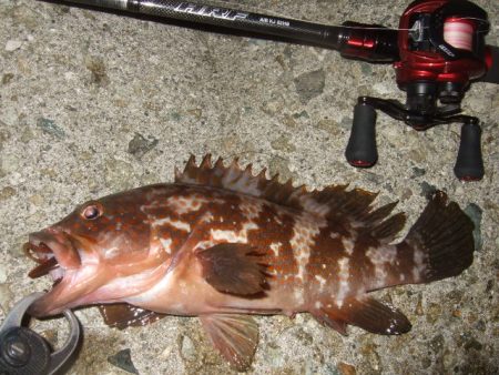 かなり減ったかな