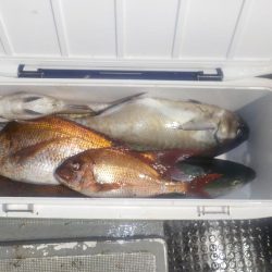 完全フカセ第1戦