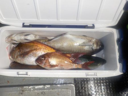 完全フカセ第1戦