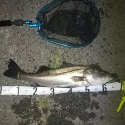 アジの居ないタイミング