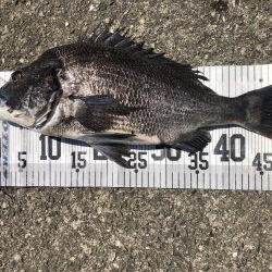 イチノ兄弟、釣果！