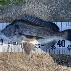 イチノ兄弟、釣果!